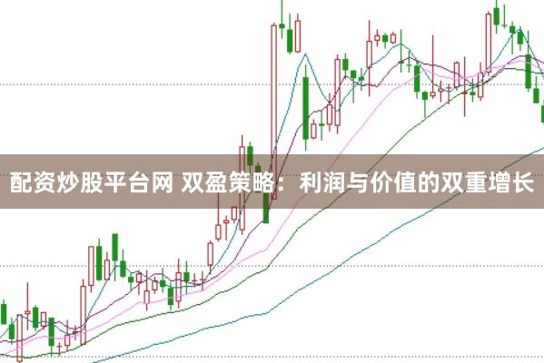 配资炒股平台网 双盈策略：利润与价值的双重增长