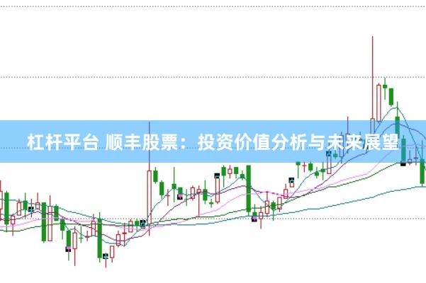 杠杆平台 顺丰股票：投资价值分析与未来展望