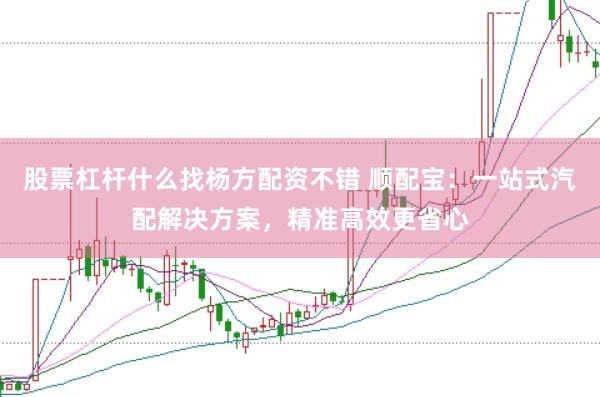 股票杠杆什么找杨方配资不错 顺配宝：一站式汽配解决方案，精准高效更省心