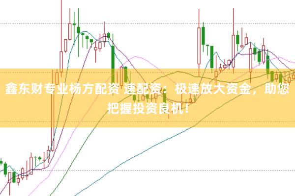 鑫东财专业杨方配资 速配资:极速放大资金,助您把握投资良机!