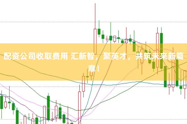 配资公司收取费用 汇新智，聚英才，共筑未来新篇章！