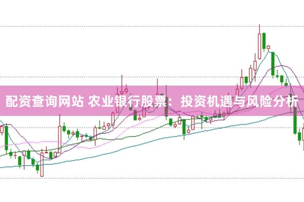 配资查询网站 农业银行股票：投资机遇与风险分析