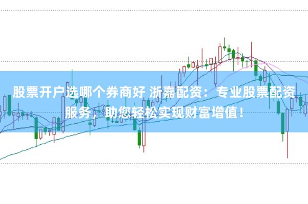 股票开户选哪个券商好 浙嘉配资:专业股票配资服务,助您轻松实现财富增值!