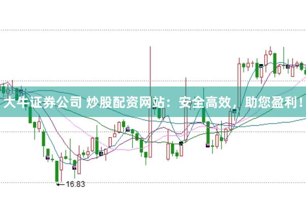大牛证券公司 炒股配资网站：安全高效，助您盈利！