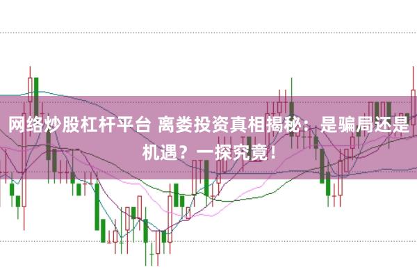 网络炒股杠杆平台 离娄投资真相揭秘:是骗局还是机遇?一探究竟!