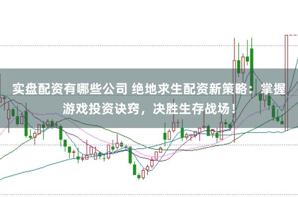 实盘配资有哪些公司 绝地求生配资新策略：掌握游戏投资诀窍，决胜生存战场！